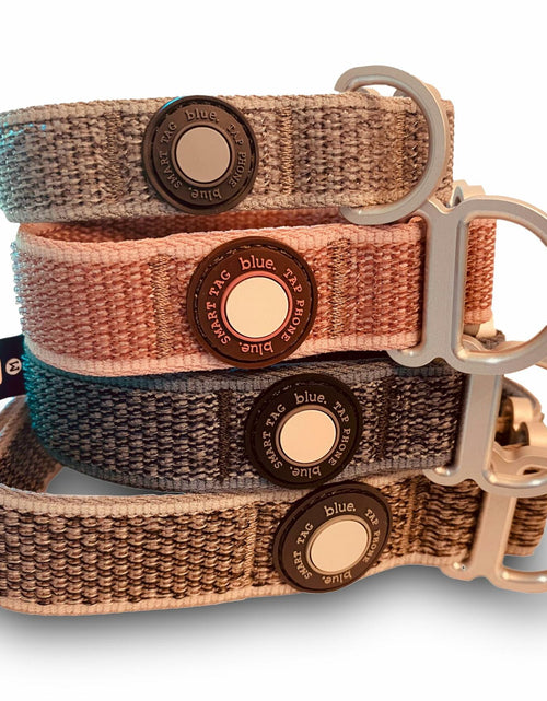 Load image into Gallery viewer, Premium Dog Collar by Blue Small Feathered Rose
