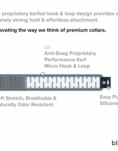 Load image into Gallery viewer, Premium Dog Collar by Blue Small Feathered Rose

