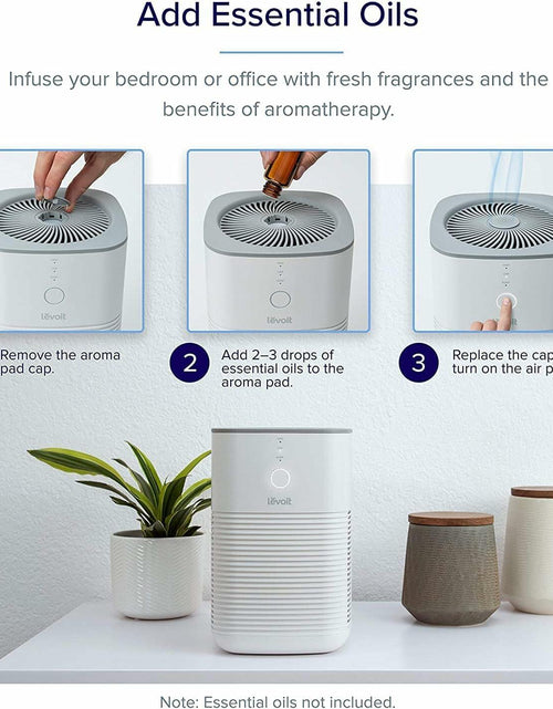 Load image into Gallery viewer, LEVOIT Air Purifier Core Mini LV-H128 Aroma Pads 12 Pack Essential Oil
