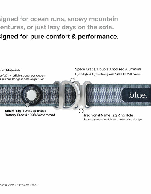 Load image into Gallery viewer, Premium Dog Collar by Blue Small Feathered Rose
