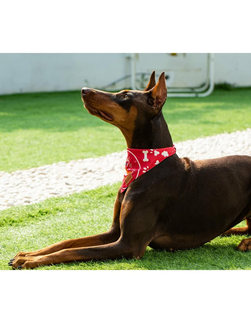 Load image into Gallery viewer, Big Brother Bandana Dog Birthday Double Layer Fabric Blue X-Large Size XL
