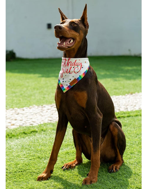 Load image into Gallery viewer, Big Brother Bandana Dog Birthday Double Layer Fabric Blue X-Large Size XL
