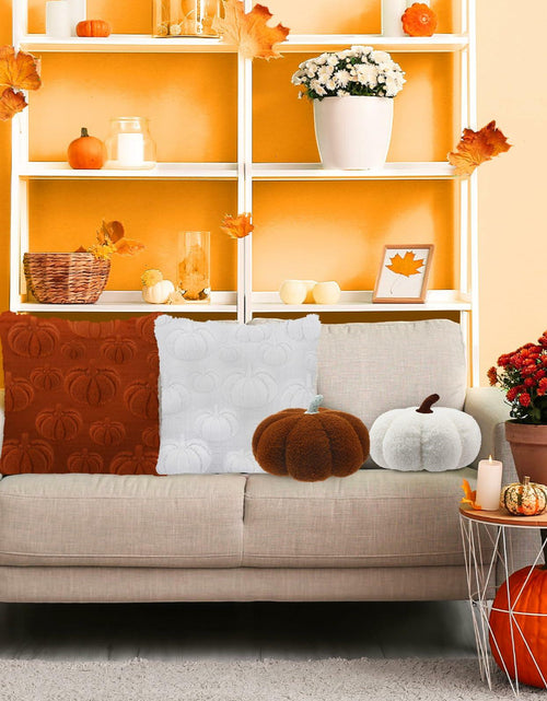 Load image into Gallery viewer, Beeveer 4 Pcs Pumpkin Throw Pillows 18x18in Brown White Sofa Cushion Covers
