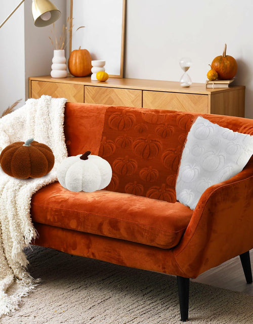 Load image into Gallery viewer, Beeveer 4 Pcs Pumpkin Throw Pillows 18x18in Brown White Sofa Cushion Covers

