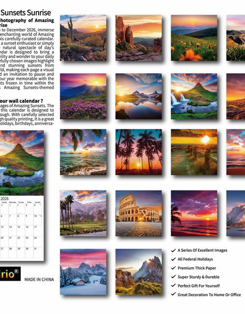 Load image into Gallery viewer, Gag Gift 2025 Wall Calendar Funny White Elephants Pooping Dogs 12x24
