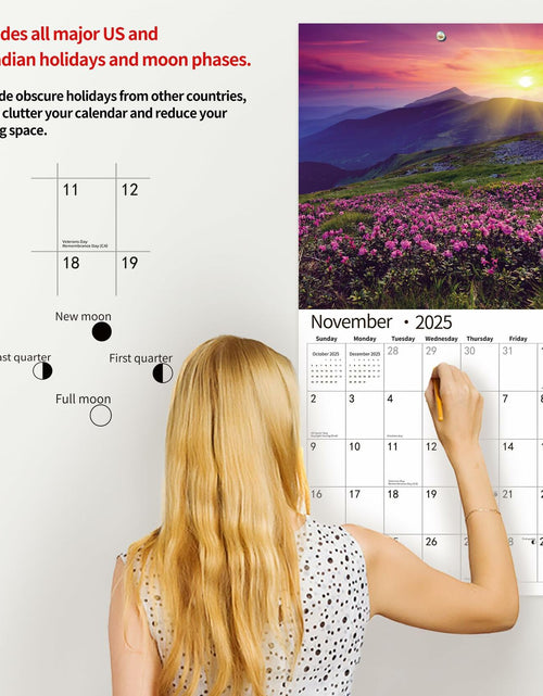 Load image into Gallery viewer, Gag Gift 2025 Wall Calendar Funny White Elephants Pooping Dogs 12x24
