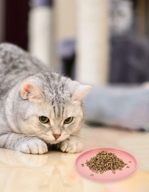 Load image into Gallery viewer, Balacoo Ceramic Cat Food Bowl Shallow Whisker Friendly Indoor Dish
