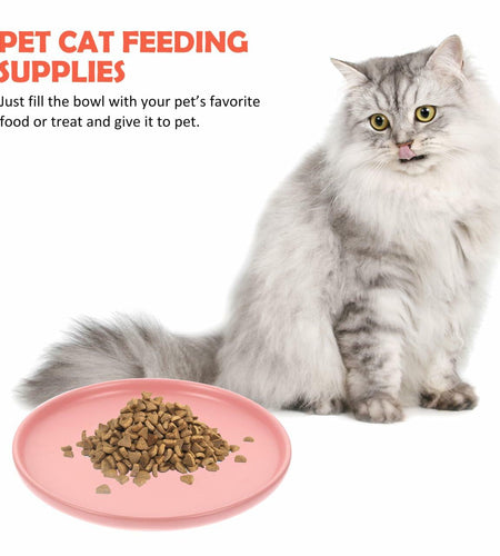Balacoo Ceramic Cat Food Bowl Shallow Whisker Friendly Indoor Dish