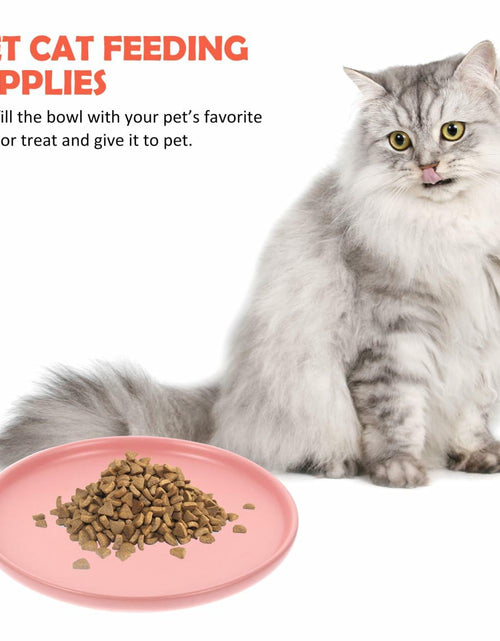 Load image into Gallery viewer, Balacoo Ceramic Cat Food Bowl Shallow Whisker Friendly Indoor Dish
