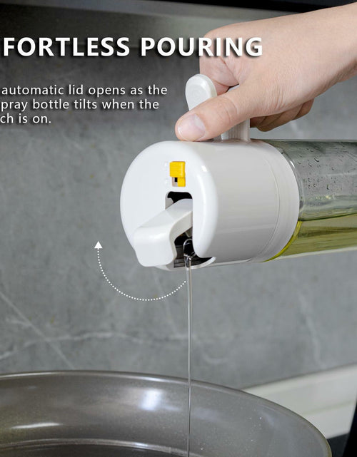Load image into Gallery viewer, REDANT 2-in-1 Olive Oil Sprayer Kitchen Dispenser Grey 500ml
