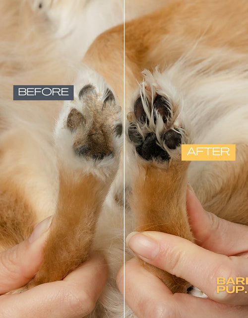 Load image into Gallery viewer, BARKY PUP Dog Paw Cleaner No-Rinse Foaming Dandelion 6.8 fl oz Made in USA
