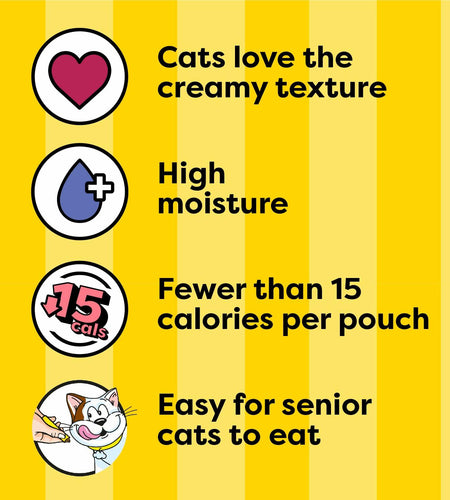 BestBy12/26 Temptations Creamy Puree Cat Treats Chicken & Salmon 16 Pouches