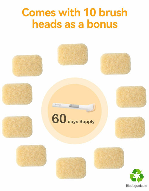 Load image into Gallery viewer, Soap Dispensing Dish Brush Set with 1 Long Handle &amp; 10 Natural Loofah Sponges
