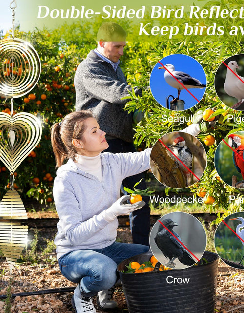 Load image into Gallery viewer, 3D Metal Bird Scare Discs Set Double-Sided Reflectors Outdoor Garden Decor
