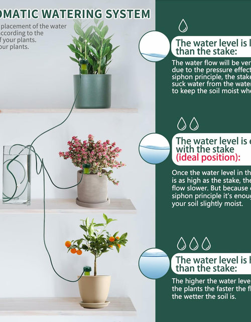 Load image into Gallery viewer, BYDOLL Plant Self-Watering Stakes Automatic Drip Irrigation System 10 Pack
