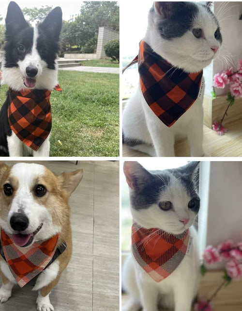 Load image into Gallery viewer, 2 Pack Fall Dog Bandanas – Birthday Pet Scarf for Dogs &amp; Cats, Orange L
