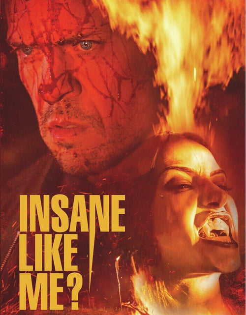 Load image into Gallery viewer, Insane Like Me? DVD Horror Thriller Ac-3 Dolby Digital 0.19lb

