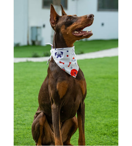2 Pack Dog Bandanas – White Cute Birthday Pet Scarf for Dogs & Cats, XL
