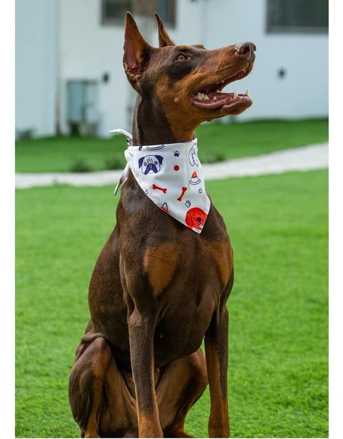 Load image into Gallery viewer, 2 Pack Dog Bandanas – White Cute Birthday Pet Scarf for Dogs &amp; Cats, XL
