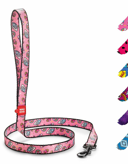 Load image into Gallery viewer, WAUDOG Nylon Dog Leash Heavy Duty 4 Ft for Small &amp; Medium Dogs
