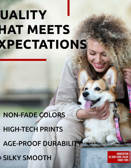 Load image into Gallery viewer, WAUDOG Nylon Dog Leash Heavy Duty 4 Ft for Small &amp; Medium Dogs
