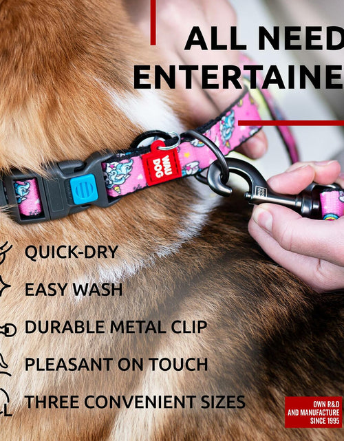 Load image into Gallery viewer, WAUDOG Nylon Dog Leash Heavy Duty 4 Ft for Small &amp; Medium Dogs
