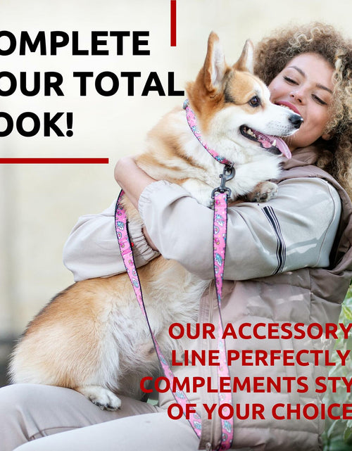 Load image into Gallery viewer, WAUDOG Nylon Dog Leash Heavy Duty 4 Ft for Small &amp; Medium Dogs
