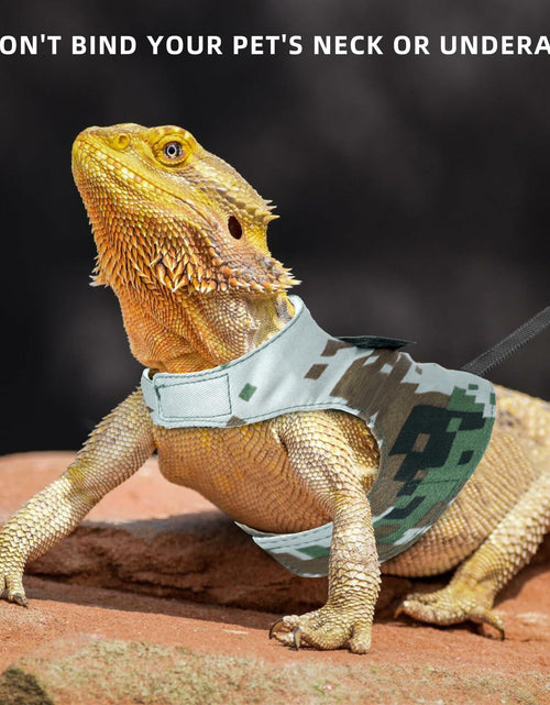 Load image into Gallery viewer, AnoleAir Bearded Dragon Adjustable Harness and Leash Green
