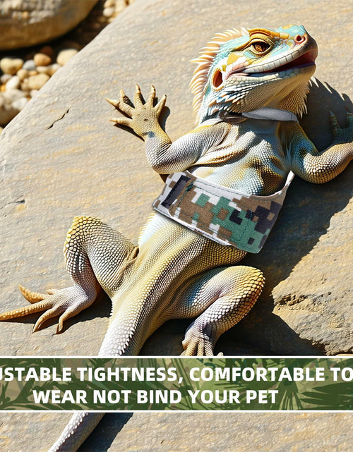Load image into Gallery viewer, AnoleAir Bearded Dragon Adjustable Harness and Leash Green
