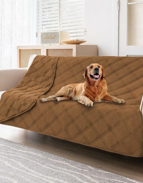 Load image into Gallery viewer, fuguitex Waterproof Reversible Dog Blanket Small 30x53 Brown Size 30x53
