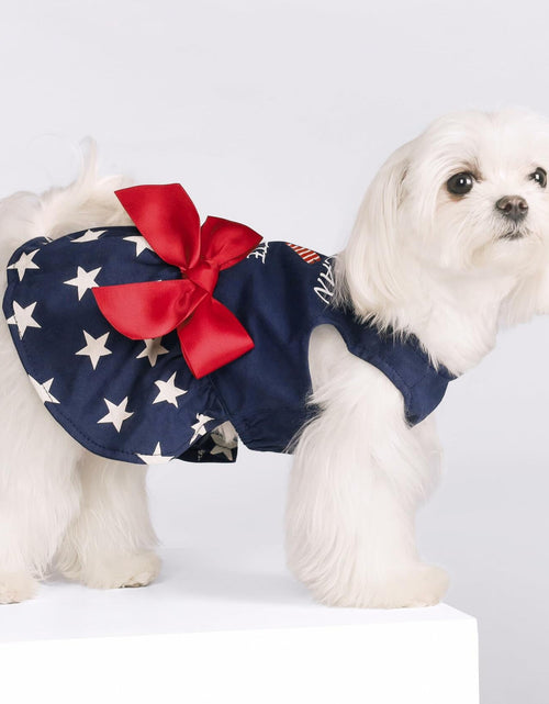 Load image into Gallery viewer, Fitwarm 100% Cotton Holiday Make A Wish Dog Dress Black Size XXS
