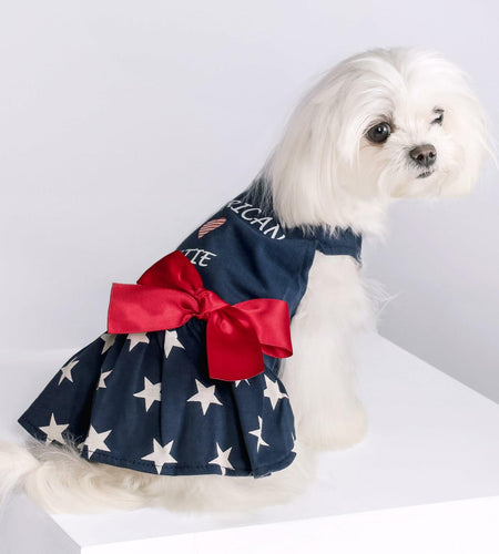 Fitwarm 100% Cotton Holiday Make A Wish Dog Dress Black Size XXS