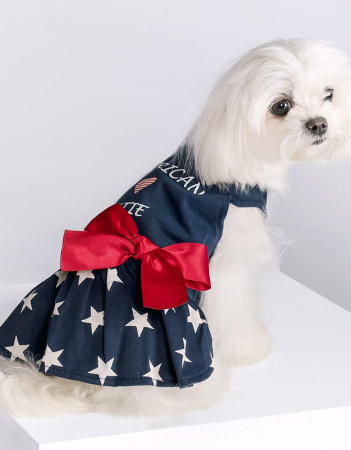 Load image into Gallery viewer, Fitwarm 100% Cotton Holiday Make A Wish Dog Dress Black Size XXS

