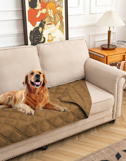 Load image into Gallery viewer, fuguitex Waterproof Reversible Dog Blanket Brown Size 30x53
