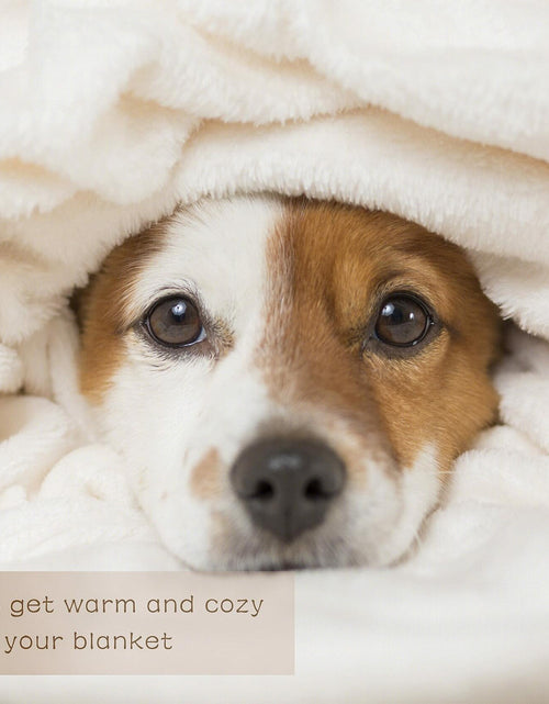 Load image into Gallery viewer, Just a Girl Who Loves Foxes Blanket Warm Soft Throw 40x50 Kids
