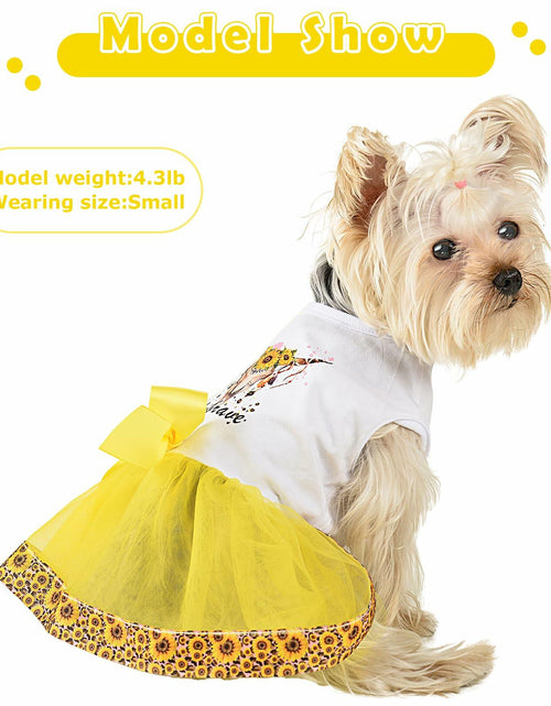 Load image into Gallery viewer, Dog Dress Puppy Skirt Tulle Lace Birthday Party Small XS Size
