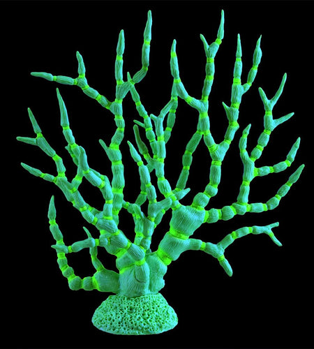 Underwater Treasures Gorgonian Coral Lime Green