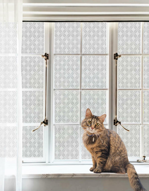 Load image into Gallery viewer, HYOUBALA Window Privacy Film UV Protection Non-Adhesive Begonia 17.5x78.7
