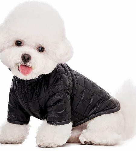 Miaododo Winter Dog Coat Windproof Cotton-Padded High Collar Size L- Black