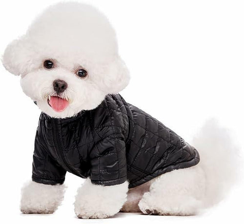 Load image into Gallery viewer, Miaododo Winter Dog Coat Windproof Cotton-Padded High Collar Size L- Black
