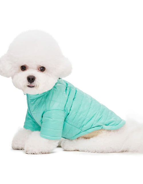 Load image into Gallery viewer, Miaododo Winter Dog Coat Windproof Cotton-Padded High Collar Size L- Black
