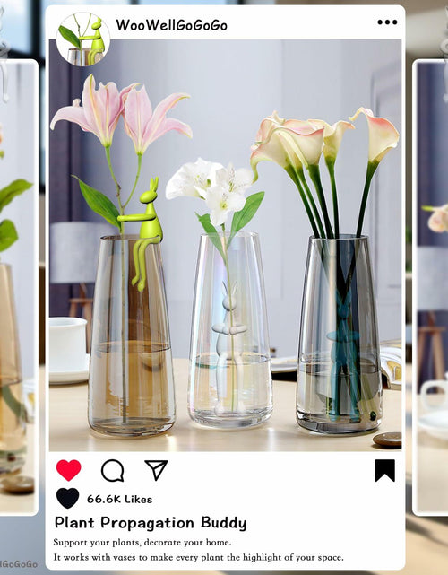 Load image into Gallery viewer, Naiqi Rabbit-Shaped Plant Supports 3 pcs Indoor Garden Propagation
