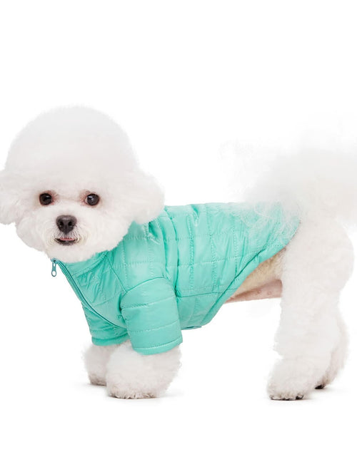 Load image into Gallery viewer, Miaododo Winter Dog Coat Windproof Cotton-Padded High Collar Size L- Black
