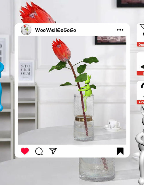 Load image into Gallery viewer, Naiqi Rabbit-Shaped Plant Supports 3 pcs Indoor Garden Propagation
