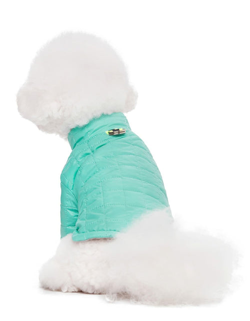 Load image into Gallery viewer, Miaododo Winter Dog Coat Windproof Cotton-Padded High Collar Size L- Black

