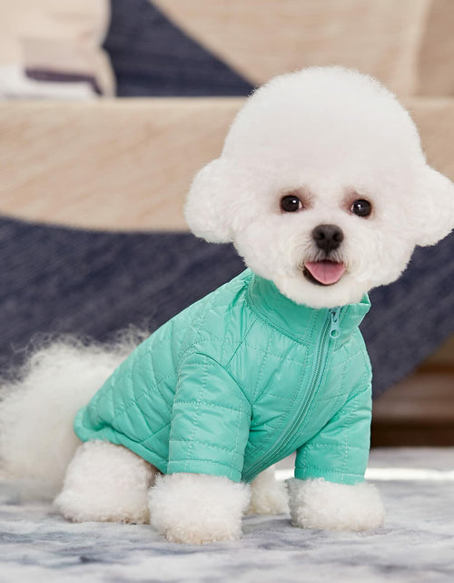 Load image into Gallery viewer, Miaododo Winter Dog Coat Windproof Cotton-Padded High Collar Size L- Black
