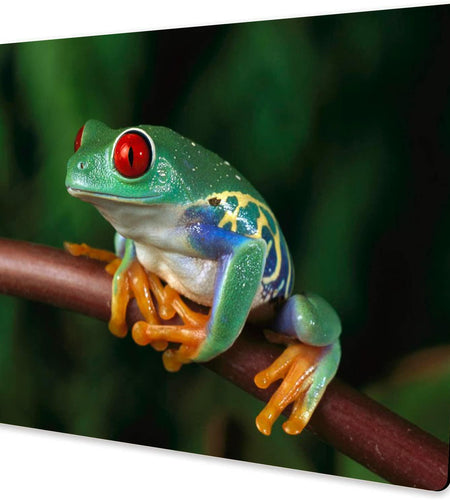 Personalized Rectangular Gaming Mouse Pad Oil Painting Frog Natural Rubber