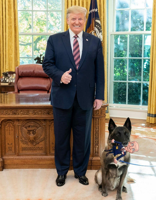 Load image into Gallery viewer, Pesky Patriot Sleepy Joe Biden Dog Toy Let’s Go Brandon 12" Durable Polyester

