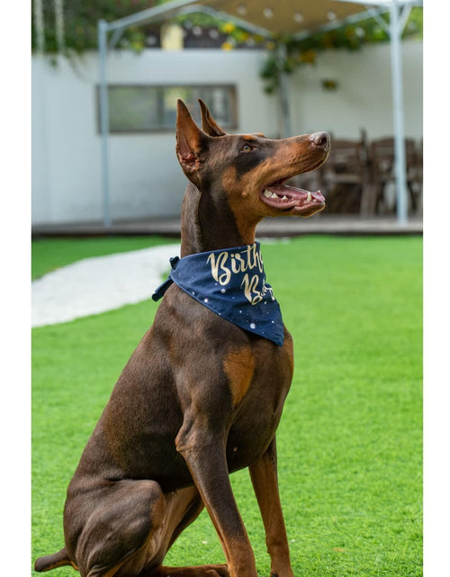 Load image into Gallery viewer, Dog Birthday Party Hats Bandana Double Layer Fabric Large Blue Size L
