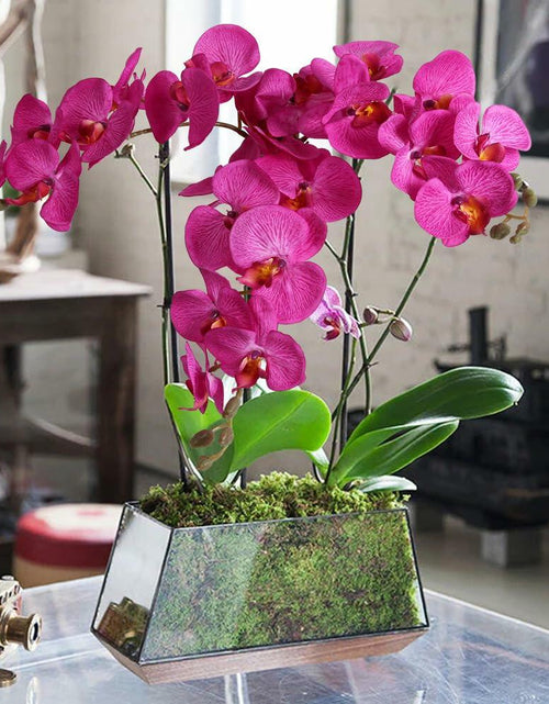Load image into Gallery viewer, ICBOX 38 Inch Purple Artificial Orchids 6 PCS Faux Velvet Flowers Stem
